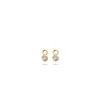 Blush Oorbedels 9058YZI
