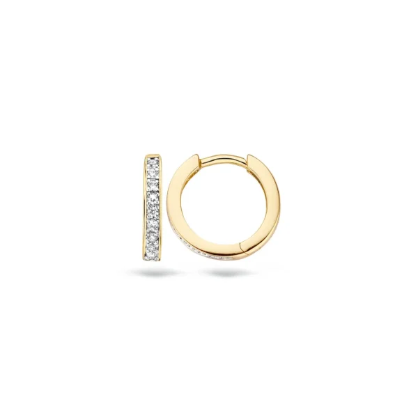 Blush Oorbellen 7129BZI