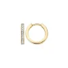 Blush Oorbellen 7163BZI