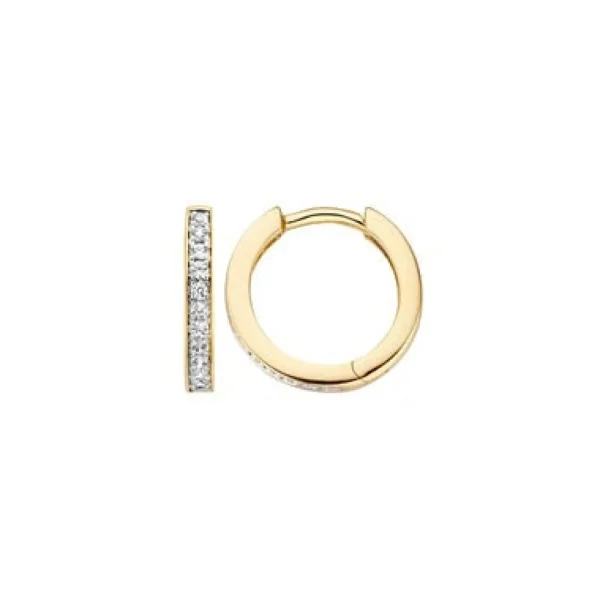 Blush Oorbellen 7163BZI