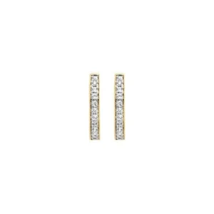 Blush Oorbellen 7163BZI
