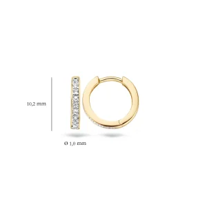 Blush Oorbellen 7129BZI