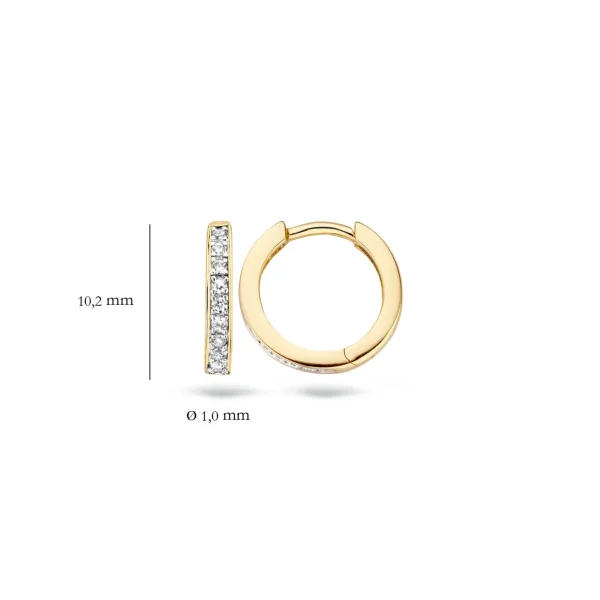 Blush Oorbellen 7129BZI