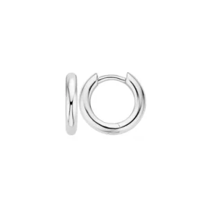 Blush Oorbellen 7133WGO