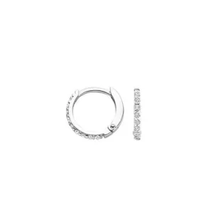 Blush Oorbellen 7268WZI