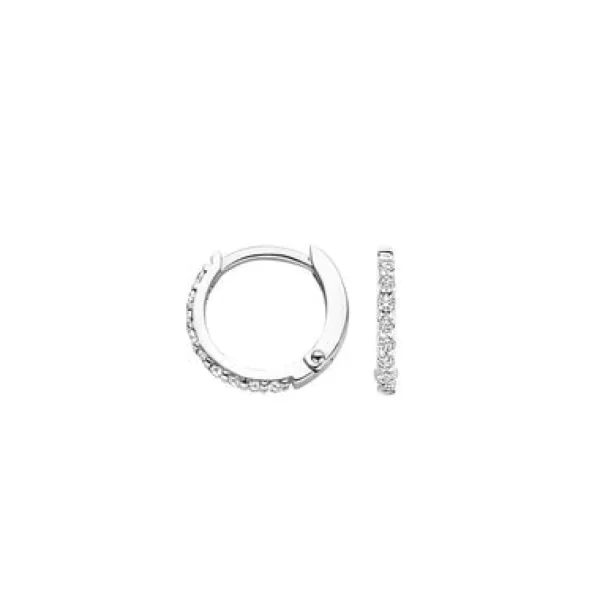 Blush Oorbellen 7268WZI