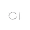 Blush Oorbellen 7270WZI