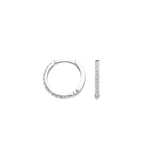 Blush Oorbellen 7270WZI