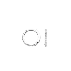 Blush Oorbellen 7269WZI
