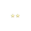 Blush Oorbellen 7247YGO