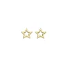 Blush Oorbellen 7248YGO