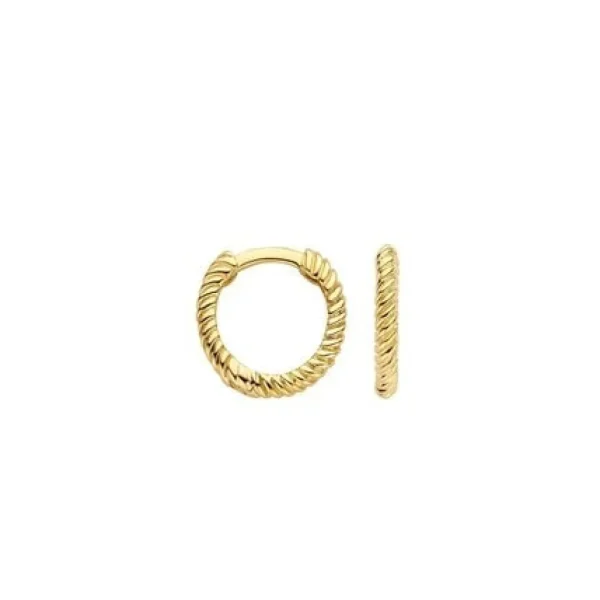 Blush oorbellen 7265YGO