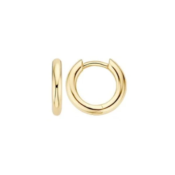 Blush Oorbellen 7165YGO