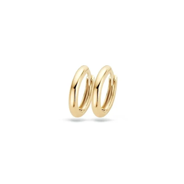 Blush oorbellen 7203YGO