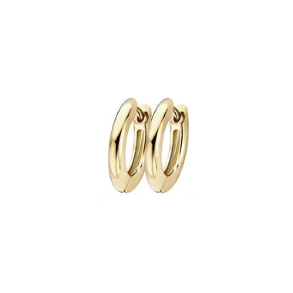 Blush Oorbellen 7165YGO