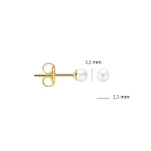 Blush Oorbellen 7137YPW