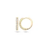Blush Oorbellen 7134YZI