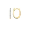 Blush Oorbellen 7236YZI