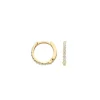 Blush Oorbellen 7269YZI