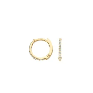 Blush Oorbellen 7269YZI