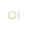 Blush Oorbellen 7270YZI