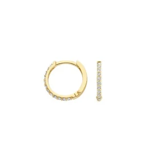 Blush Oorbellen 7270YZI