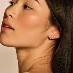 Blush Oorbellen 7269YZI