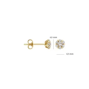 Blush Oorbellen 7241YZI