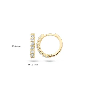 Blush Oorbellen 7134YZI