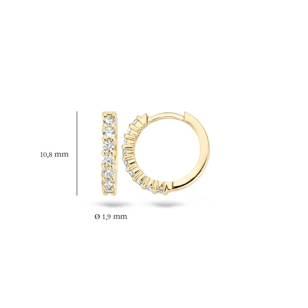 Blush Oorbellen 7134YZI