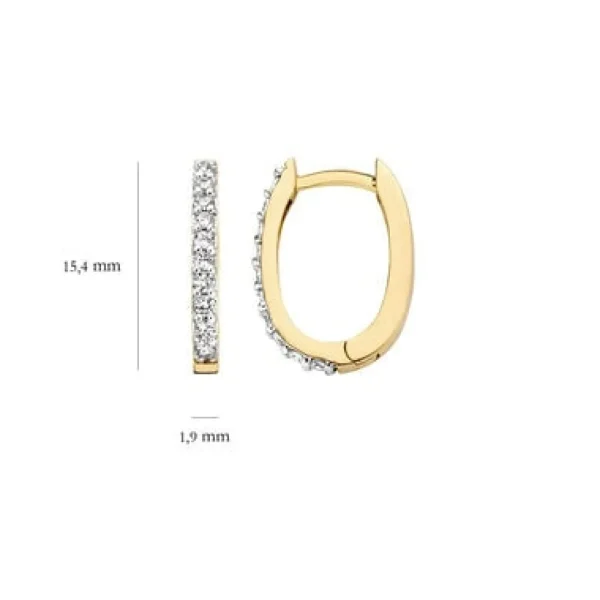 Blush Oorbellen 7236YZI