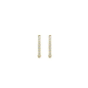 Blush Oorbellen 7270YZI