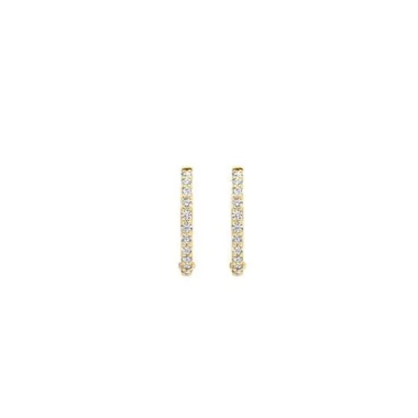 Blush Oorbellen 7270YZI