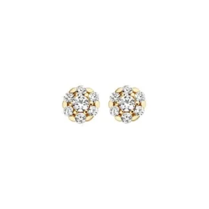 Blush Oorbellen 7241YZI