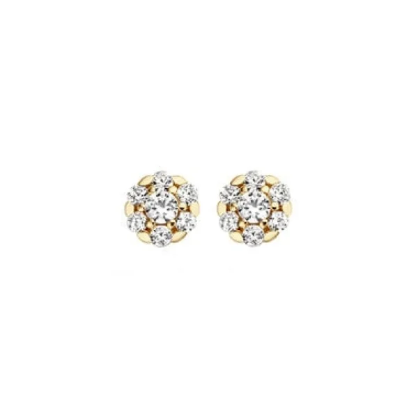 Blush Oorbellen 7241YZI