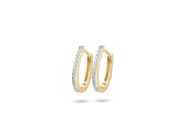 Diamonds by Blush Oorbellen 7622YDI