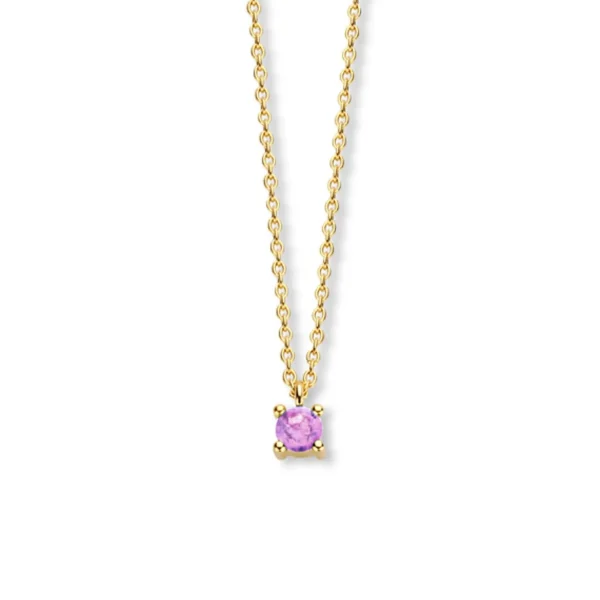 Fleur de Kiki Ketting GG25763 - juni