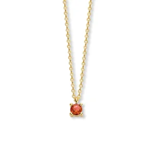 Fleur de Kiki Ketting GG25758 - januari