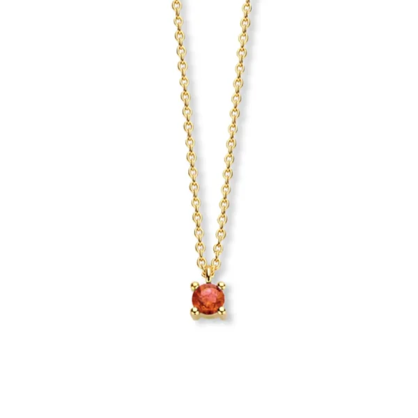Fleur de Kiki Ketting GG25758 - januari