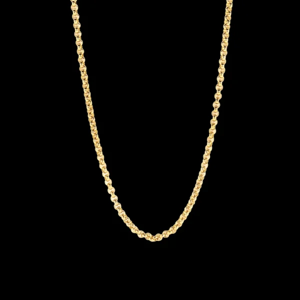 Ti Sento Ketting 3959SY/48