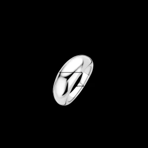 Ti Sento Ring 12172SI
