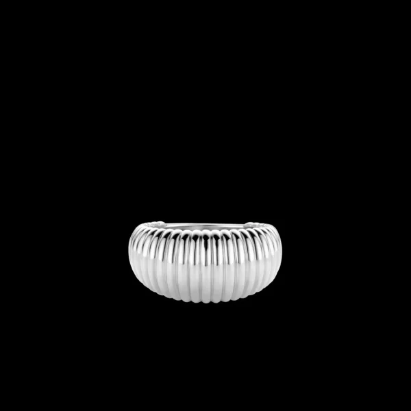 Ti Sento Ring 12217SI