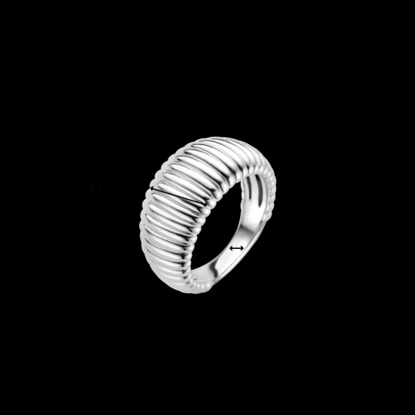 Ti Sento Ring 12217SI